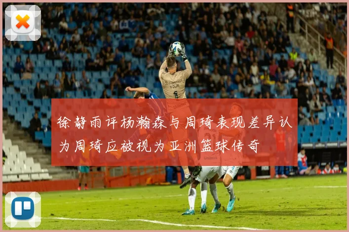 徐静雨评杨瀚森与周琦表现差异认为周琦应被视为亚洲篮球传奇